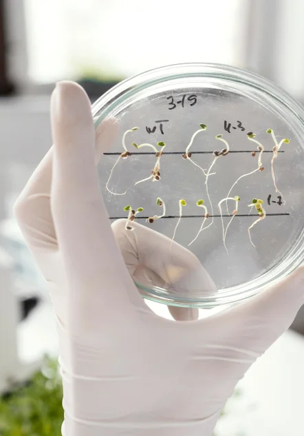 Biología de la Reproducción en Pachuca_beneficios