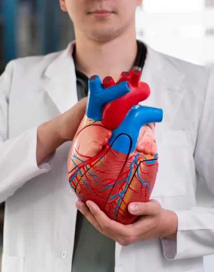 Cardiología Clínica e intervencionista_beneficios