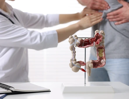 Coloproctología_Pachuca_Procedimientos