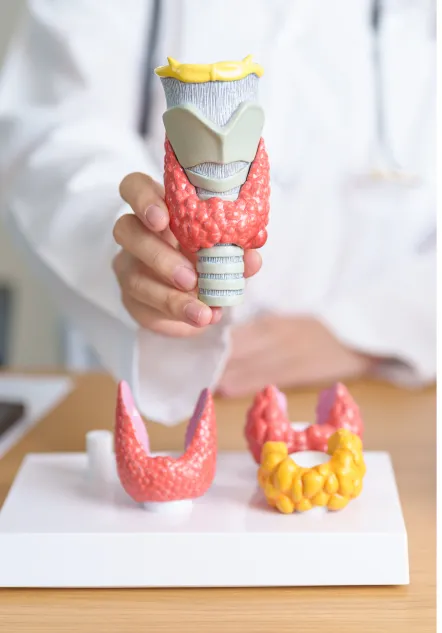 Endocrinología_pachuca_beneficios